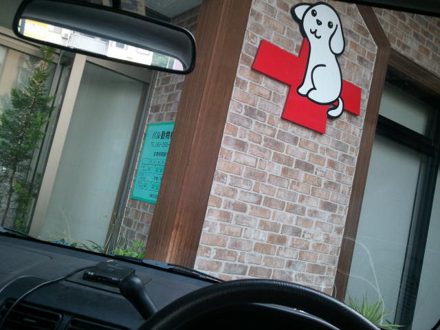 今日も一番乗り!