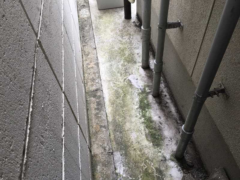 使用前 | 社長日記 | ネットプロンプト(NetPrompt)