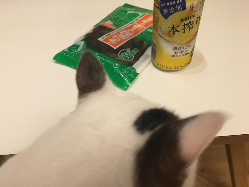 午前様
