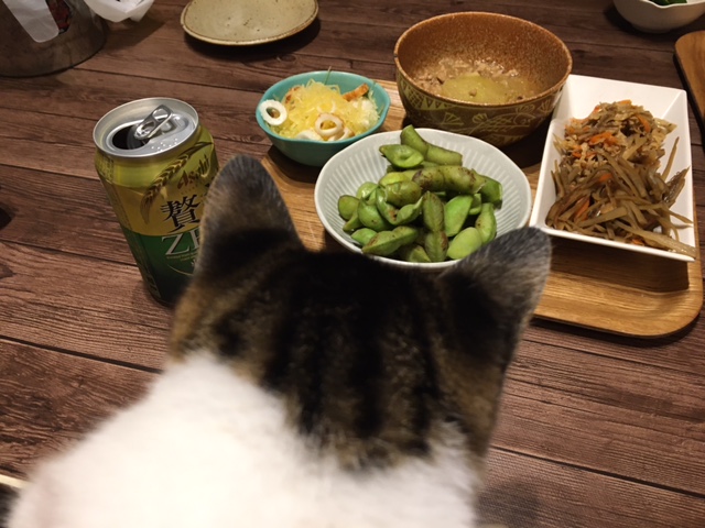 スチール断念