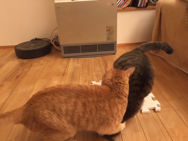 譲れない戦い