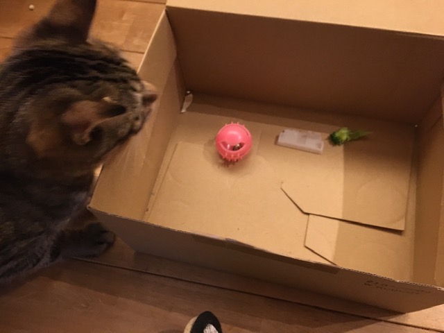 本日の棚卸し在庫