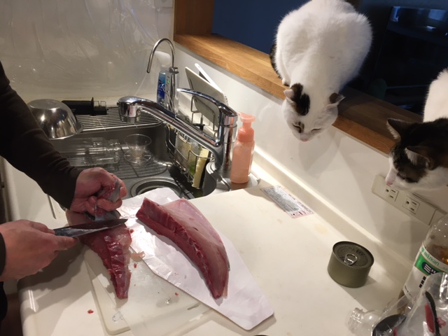 解体ショー第二部