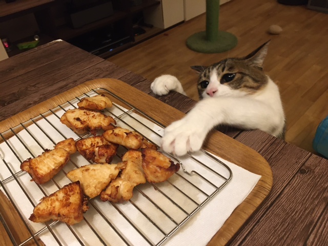 承太郎のおかずスチール日記
