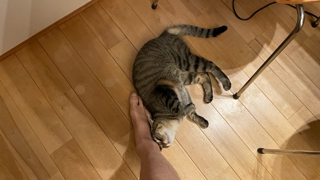 謎のモテ期