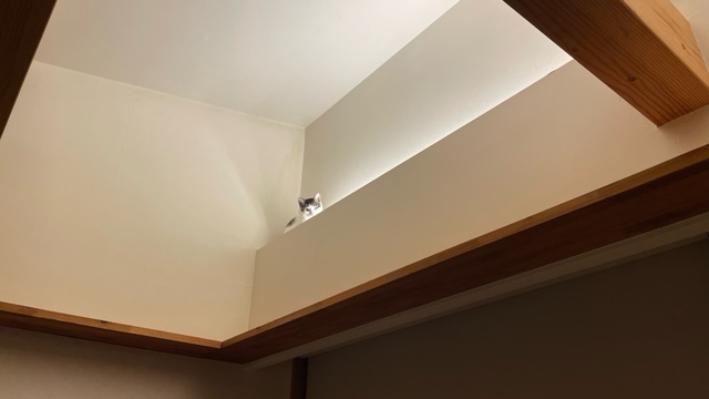ミカサ拗ねる