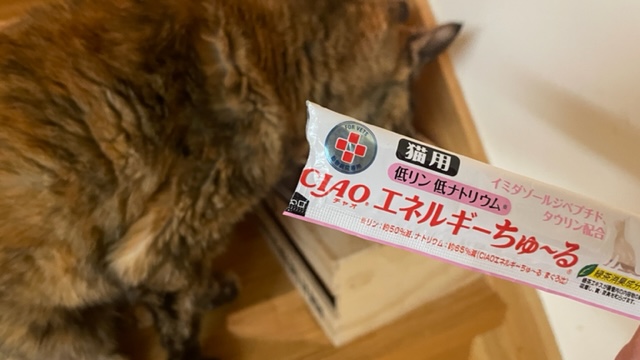 頑張れピー婆ちゃん!