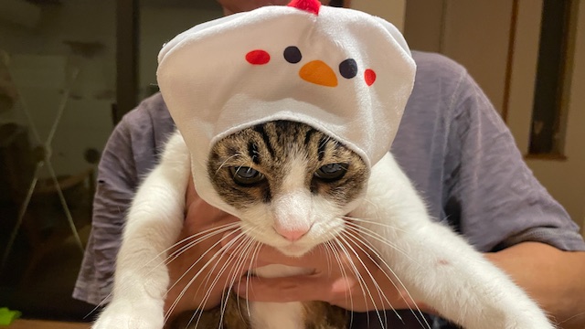 承太郎のハロウィン