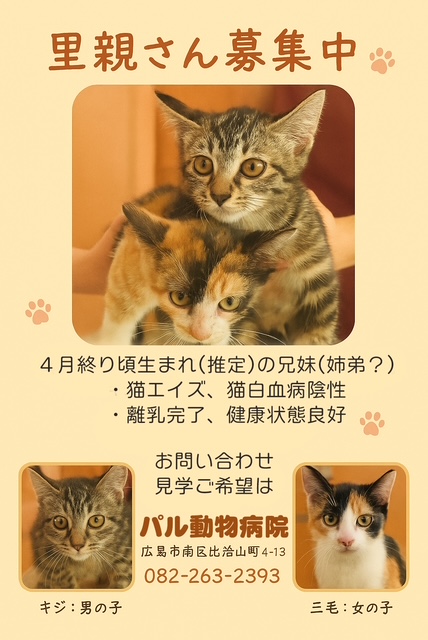 エントリ画像