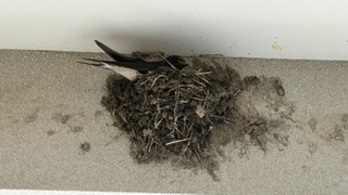 工事進捗報告 | 社長日記 | ブログ | Web制作・SNS広告・経営コンサル｜広島