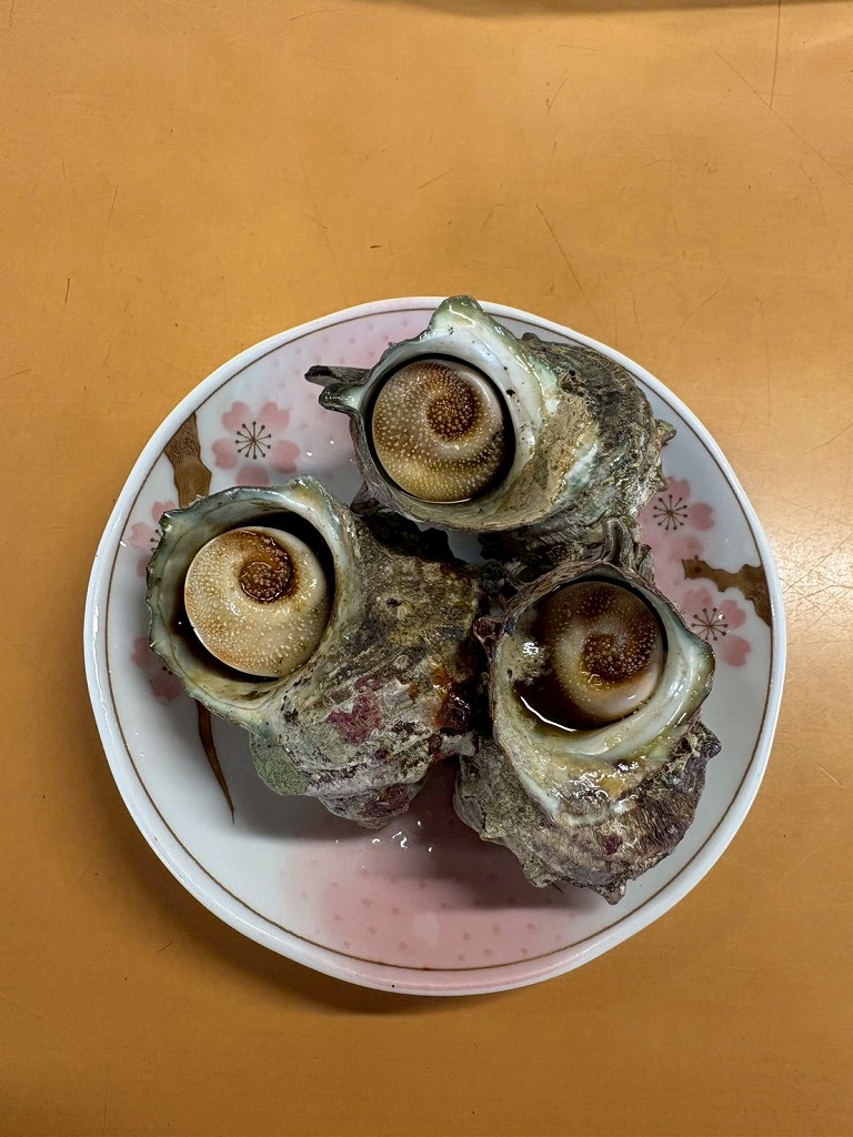 宿の近くでサザエのつぼ焼き食べられるところに行きました。 | 家族旅行 | ただいまMスタ付近で勤務中 | ネットプロンプト(NetPrompt)